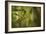 Bamboo Afternoon XI-Rita Crane-Framed Photographic Print