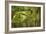 Bamboo Afternoon XII-Rita Crane-Framed Photographic Print