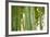 Bamboo and Bokeh I-Erin Berzel-Framed Photographic Print