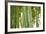 Bamboo and Bokeh I-Erin Berzel-Framed Photographic Print