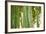 Bamboo and Bokeh I-Erin Berzel-Framed Photographic Print