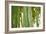 Bamboo and Bokeh I-Erin Berzel-Framed Photographic Print