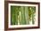 Bamboo and Bokeh I-Erin Berzel-Framed Photographic Print