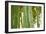 Bamboo and Bokeh I-Erin Berzel-Framed Photographic Print