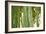 Bamboo and Bokeh I-Erin Berzel-Framed Photographic Print