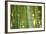 Bamboo and Bokeh II-Erin Berzel-Framed Photographic Print