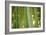 Bamboo and Bokeh II-Erin Berzel-Framed Photographic Print