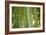 Bamboo and Bokeh II-Erin Berzel-Framed Photographic Print