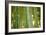 Bamboo and Bokeh II-Erin Berzel-Framed Photographic Print