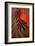 Bamboo and Red Sun I-Christine Zalewski-Framed Art Print