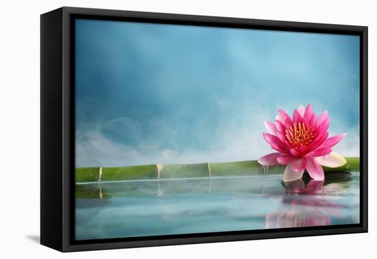 Bamboo and Water Lily Reflected in a Serenity Pool-Liang Zhang-Framed Premier Image Canvas