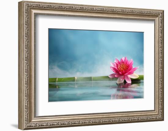 Bamboo and Water Lily Reflected in a Serenity Pool-Liang Zhang-Framed Photographic Print