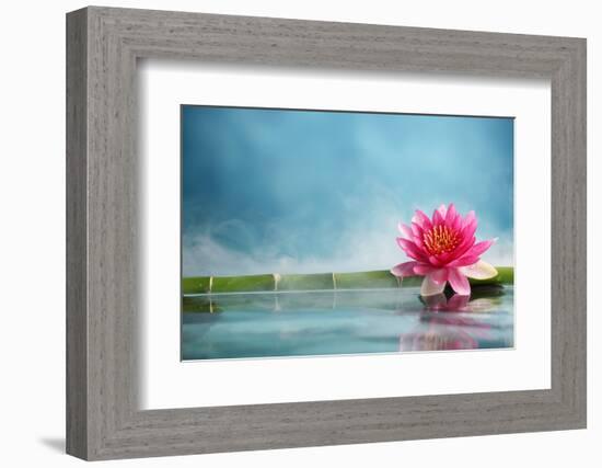 Bamboo and Water Lily Reflected in a Serenity Pool-Liang Zhang-Framed Photographic Print