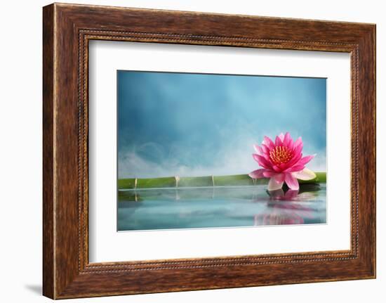 Bamboo and Water Lily Reflected in a Serenity Pool-Liang Zhang-Framed Photographic Print