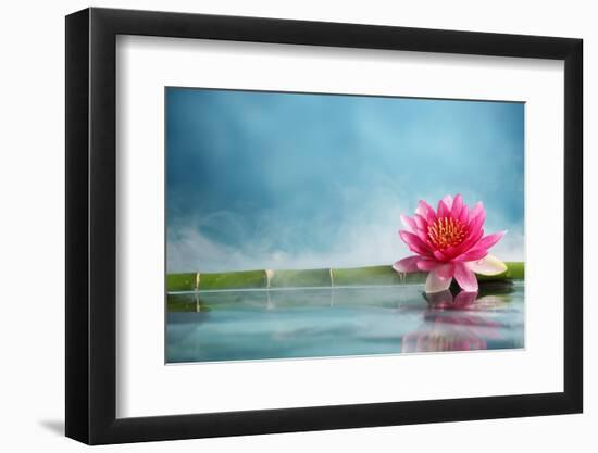 Bamboo and Water Lily Reflected in a Serenity Pool-Liang Zhang-Framed Photographic Print