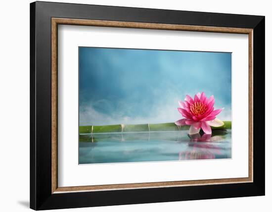 Bamboo and Water Lily Reflected in a Serenity Pool-Liang Zhang-Framed Photographic Print