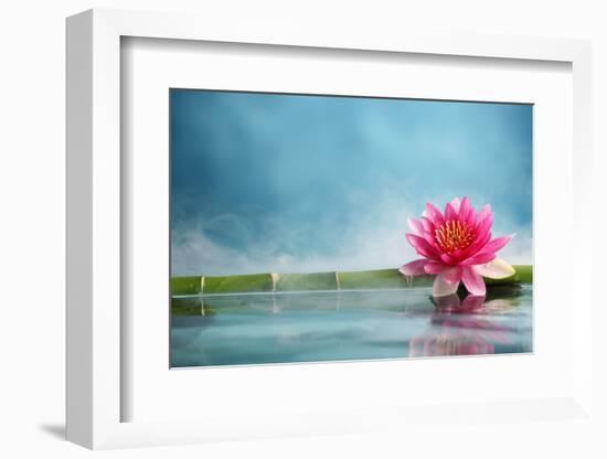 Bamboo and Water Lily Reflected in a Serenity Pool-Liang Zhang-Framed Photographic Print