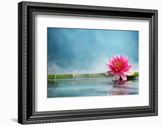 Bamboo and Water Lily Reflected in a Serenity Pool-Liang Zhang-Framed Photographic Print