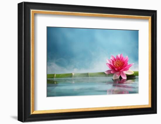 Bamboo and Water Lily Reflected in a Serenity Pool-Liang Zhang-Framed Photographic Print