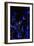 Bamboo at Night I-Karyn Millet-Framed Photographic Print