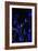 Bamboo at Night I-Karyn Millet-Framed Photographic Print