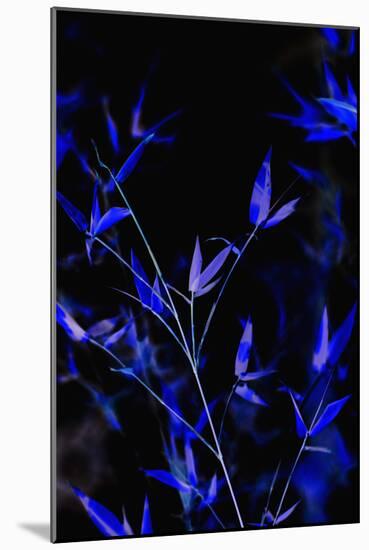 Bamboo at Night I-Karyn Millet-Mounted Photographic Print