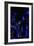 Bamboo at Night I-Karyn Millet-Framed Photographic Print