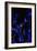 Bamboo at Night I-Karyn Millet-Framed Photographic Print