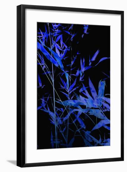 Bamboo at Night II-Karyn Millet-Framed Photographic Print