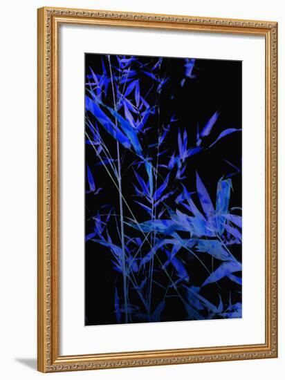 Bamboo at Night II-Karyn Millet-Framed Photographic Print