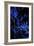 Bamboo at Night II-Karyn Millet-Framed Photographic Print