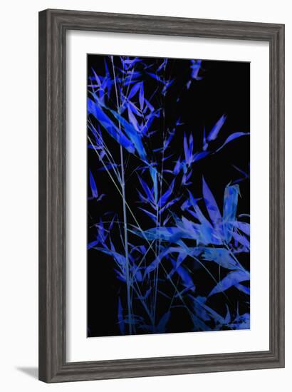 Bamboo at Night II-Karyn Millet-Framed Photographic Print