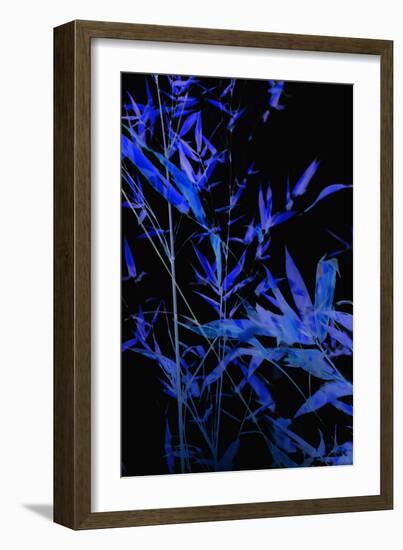 Bamboo at Night II-Karyn Millet-Framed Photographic Print