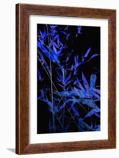 Bamboo at Night II-Karyn Millet-Framed Photographic Print