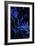 Bamboo at Night II-Karyn Millet-Framed Photographic Print