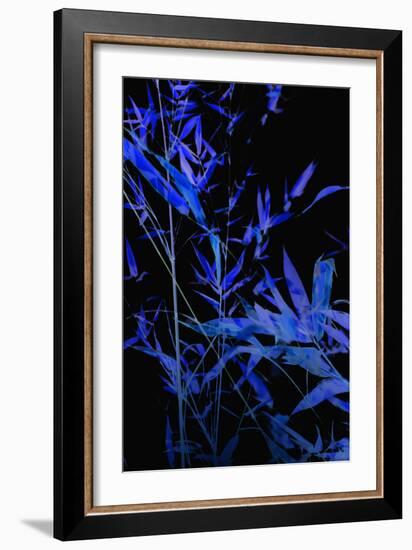 Bamboo at Night II-Karyn Millet-Framed Photographic Print