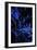 Bamboo at Night II-Karyn Millet-Framed Photographic Print