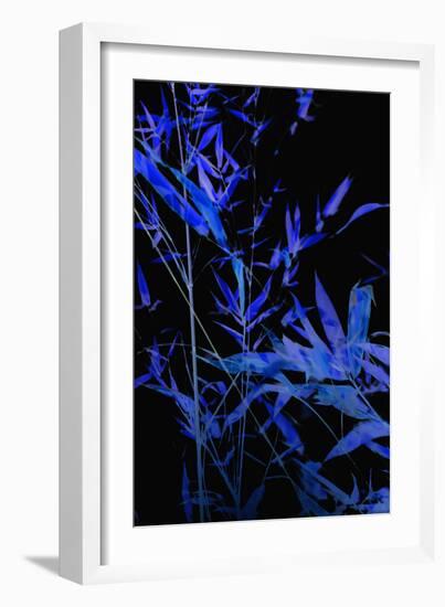 Bamboo at Night II-Karyn Millet-Framed Photographic Print