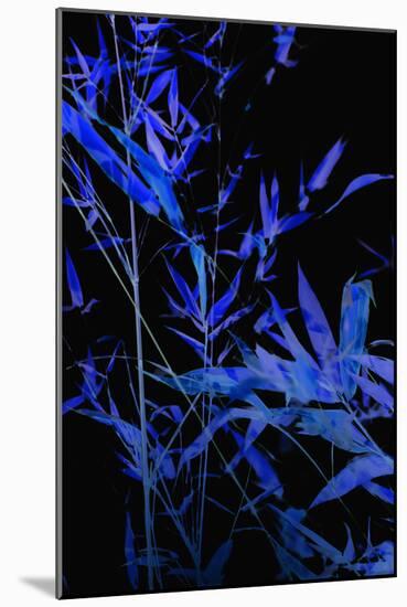 Bamboo at Night II-Karyn Millet-Mounted Photographic Print