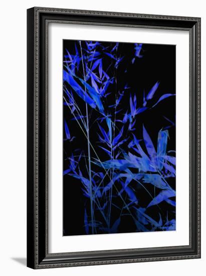 Bamboo at Night II-Karyn Millet-Framed Photographic Print