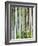 Bamboo at Shukkei-En Garden, Hiroshima, Japan-Rob Tilley-Framed Photographic Print