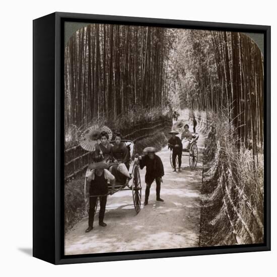Bamboo Avenue, Looking South-West, Near Kiyomizu, Kyoto, Japan, 1904-Underwood & Underwood-Framed Premier Image Canvas