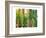 Bamboo Ballet-Maureen Love-Framed Photographic Print