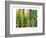 Bamboo Ballet-Maureen Love-Framed Photographic Print