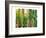 Bamboo Ballet-Maureen Love-Framed Photographic Print