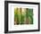 Bamboo Ballet-Maureen Love-Framed Photographic Print