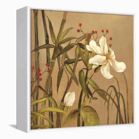 Bamboo Beauty I-Andrew Michaels-Framed Stretched Canvas