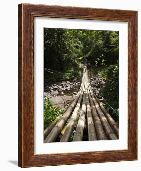 Bamboo Bridge at Dark View Falls, St. Vincent and the Grenadines, Windward Islands-Michael DeFreitas-Framed Photographic Print