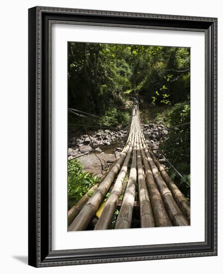 Bamboo Bridge at Dark View Falls, St. Vincent and the Grenadines, Windward Islands-Michael DeFreitas-Framed Photographic Print