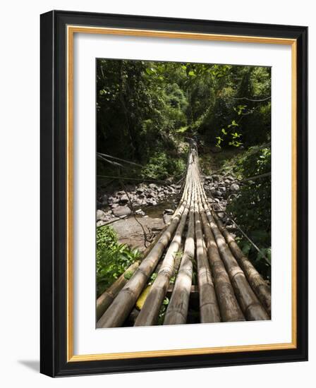 Bamboo Bridge at Dark View Falls, St. Vincent and the Grenadines, Windward Islands-Michael DeFreitas-Framed Photographic Print